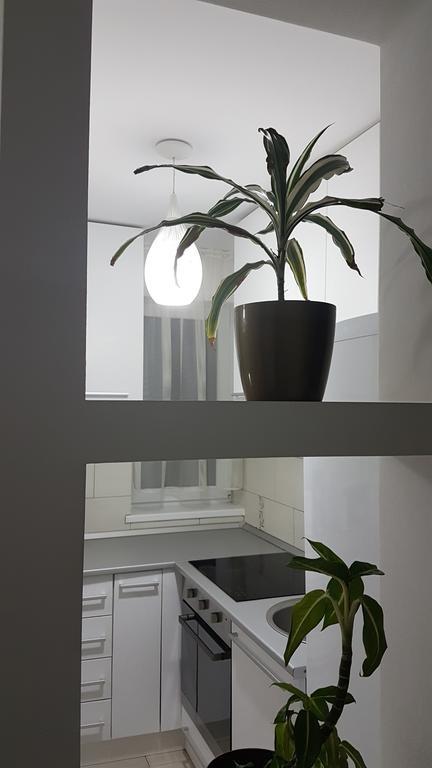 Cluj Lux Apartment Taberei Exterior foto